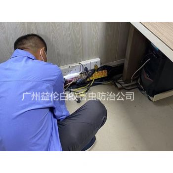 番禺房屋治白蟻工程