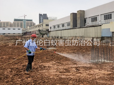 芳村基礎白蟻預防工程